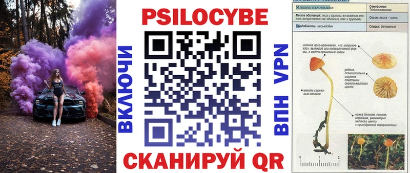 Купить где  Черногорск  Галлюциногенные грибы мухоморы 